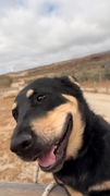NERO Imagen 5